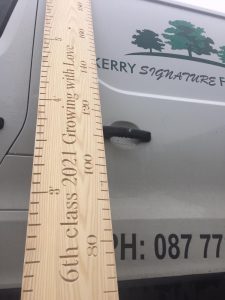 Metric & Feet Inches height ruler