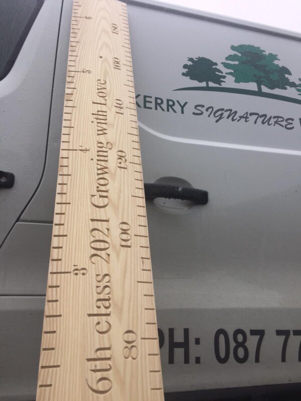 Metric & Feet Inches height ruler